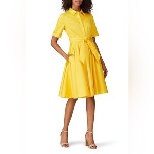 Badgley Mischka Yellow Shirt Collar Fit Flare Dress Pockets Size 2 Vintage Vibes